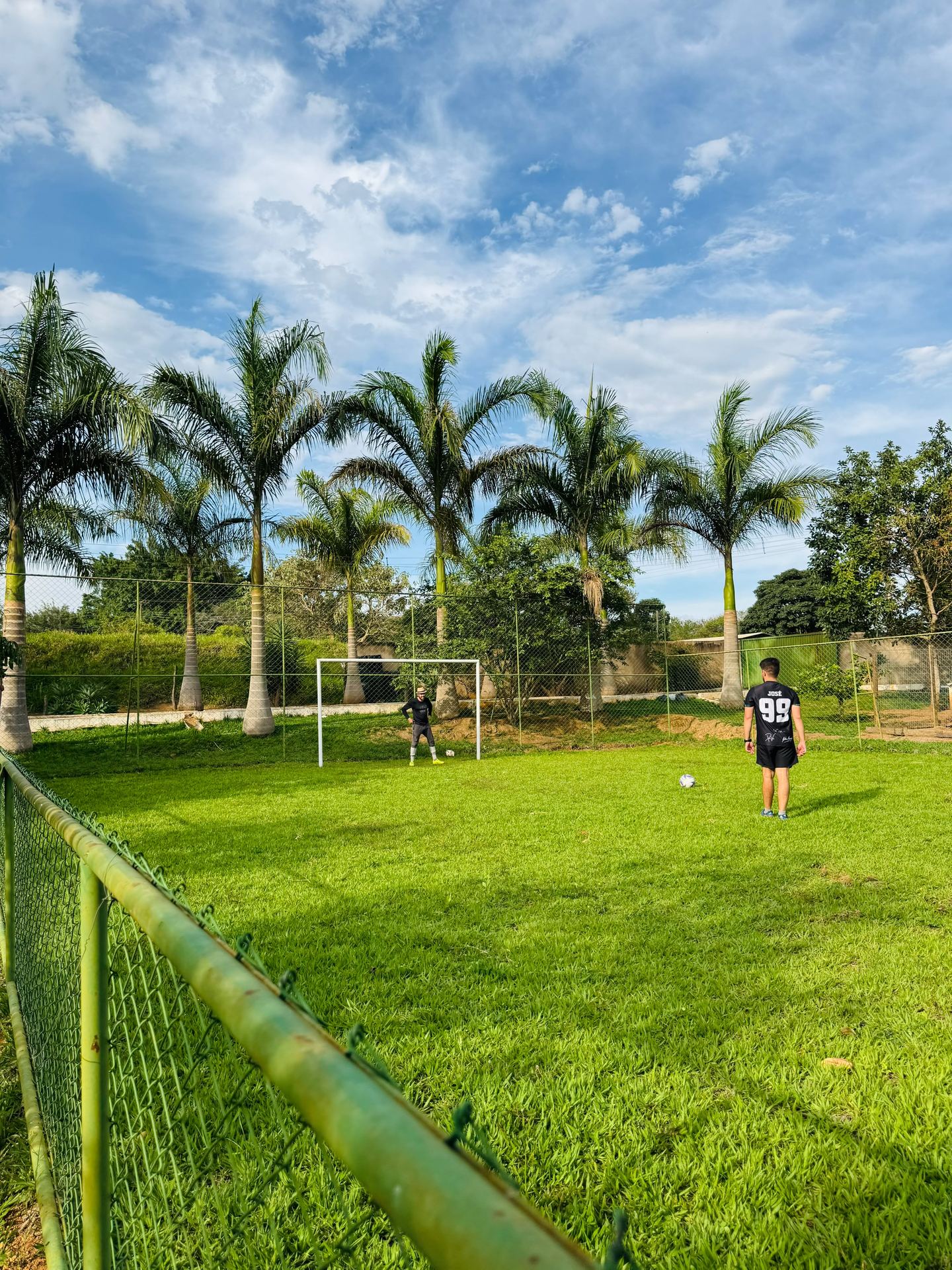 Campo de futebol gramado cercado por palmeiras
